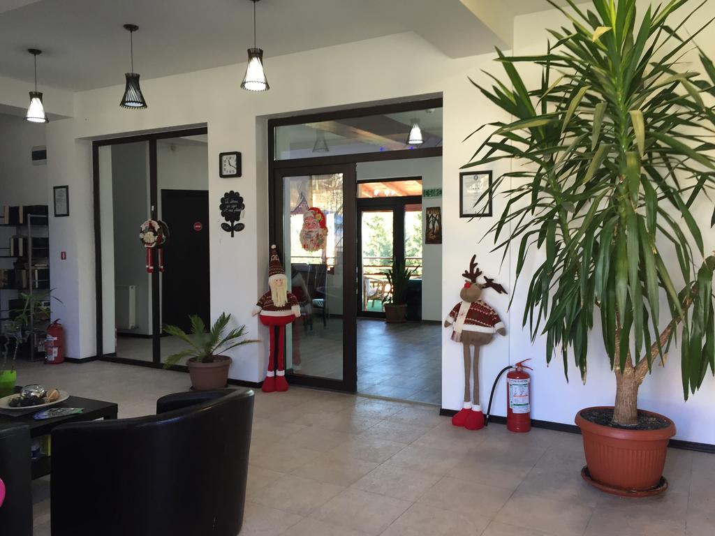 Vila Ozon ルンカ エクステリア 写真